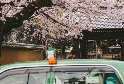 a green taxi cab driving past a cherry blossom tree